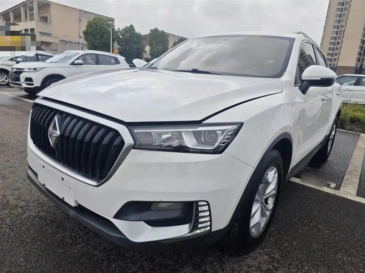 BORGWARD BX5  2019