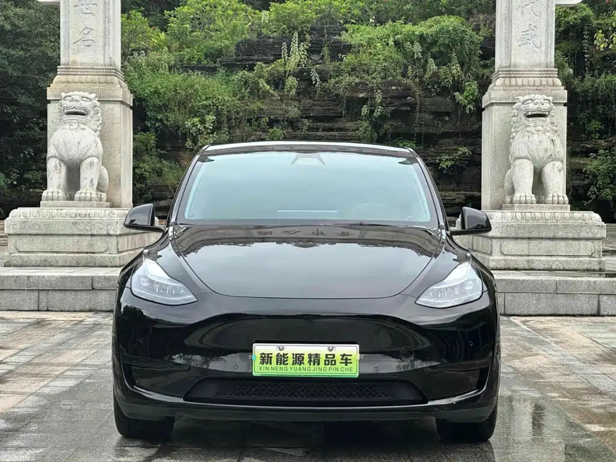 TESLA MODEL Y