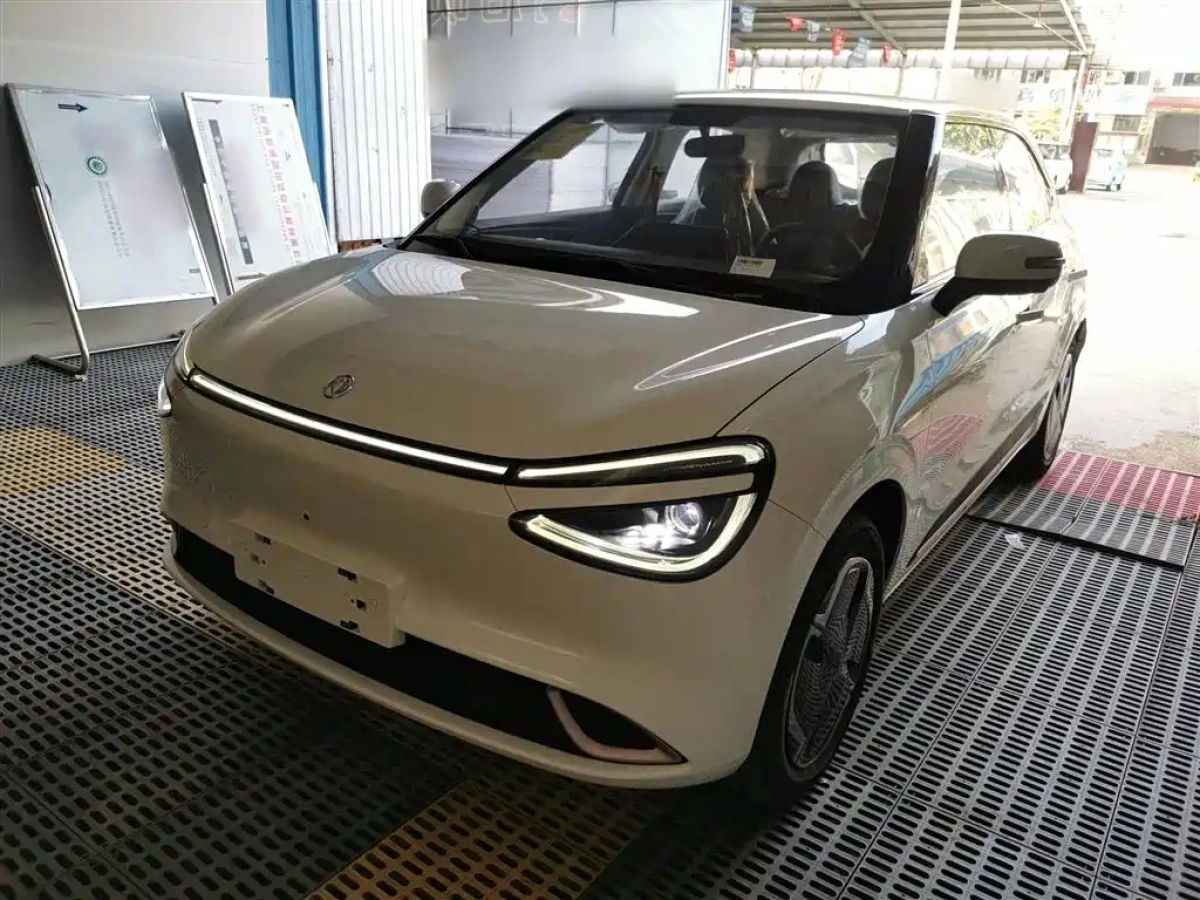 DONGFENG NANO 01  2025