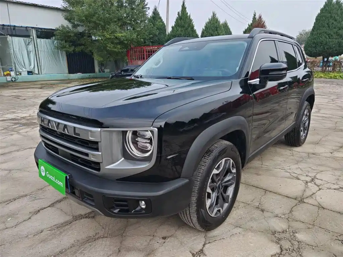 HAVAL BIG DOG
