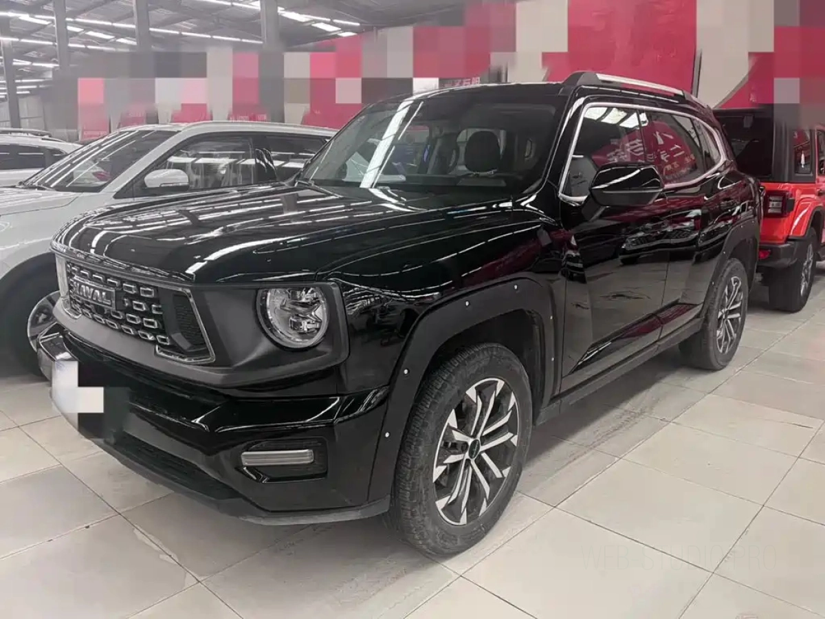 HAVAL BIG DOG II