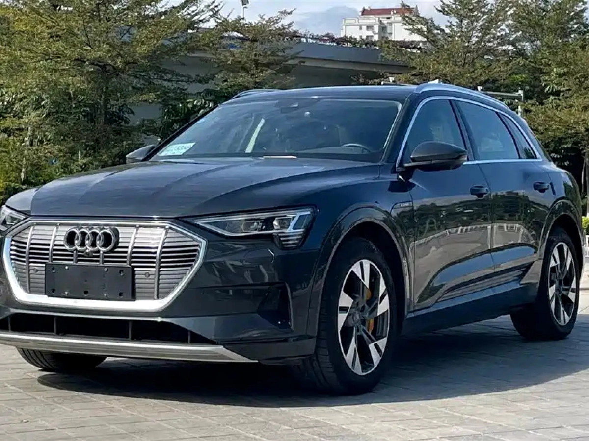 AUDI E-TRON IMPORT  2020