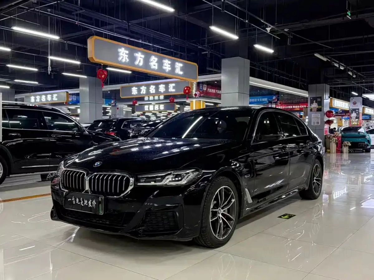BMW 5-SERIES NEW ENERGY  2022