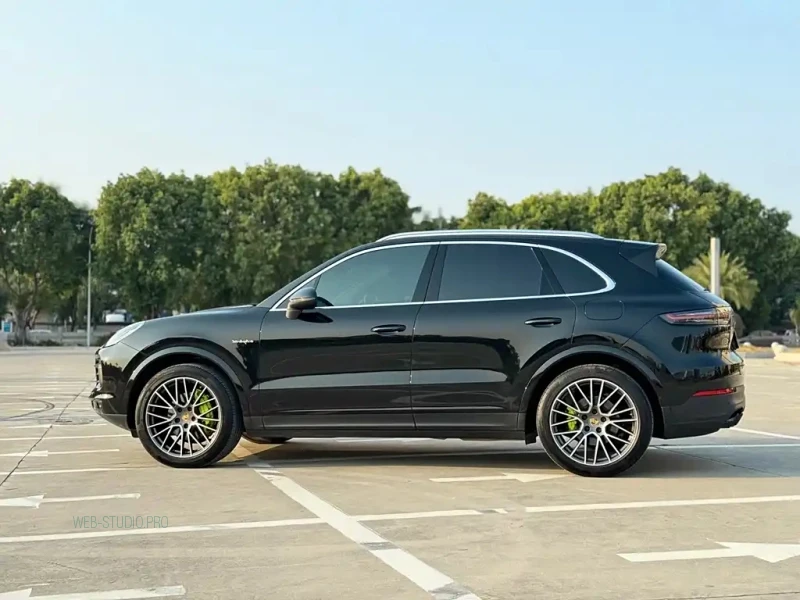 PORSCHE CAYENNE NEW ENERGY