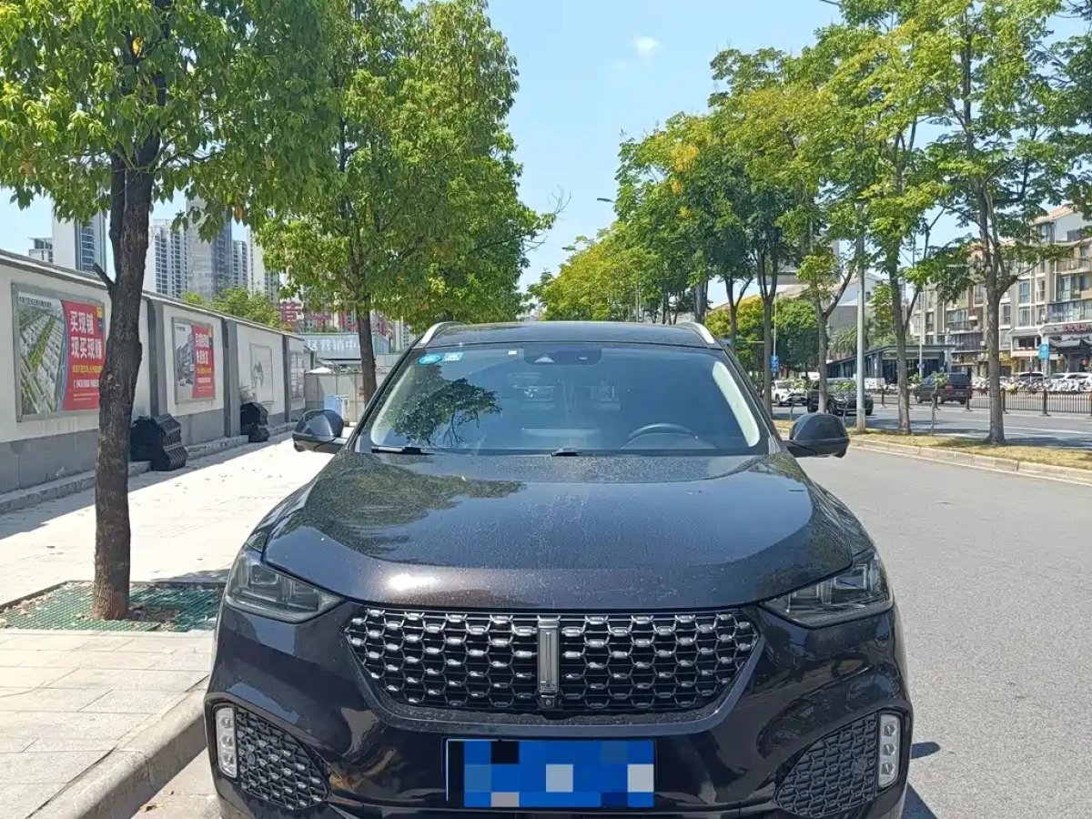 WEY VV6