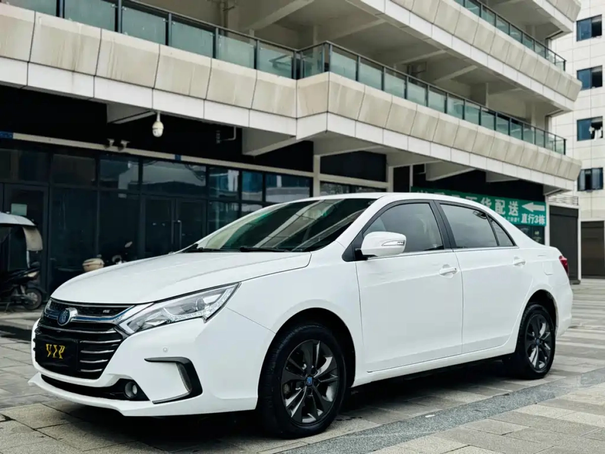 BYD QIN NEW ENERGY  2019
