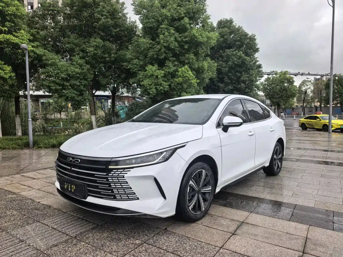BYD DESTROYER 05
