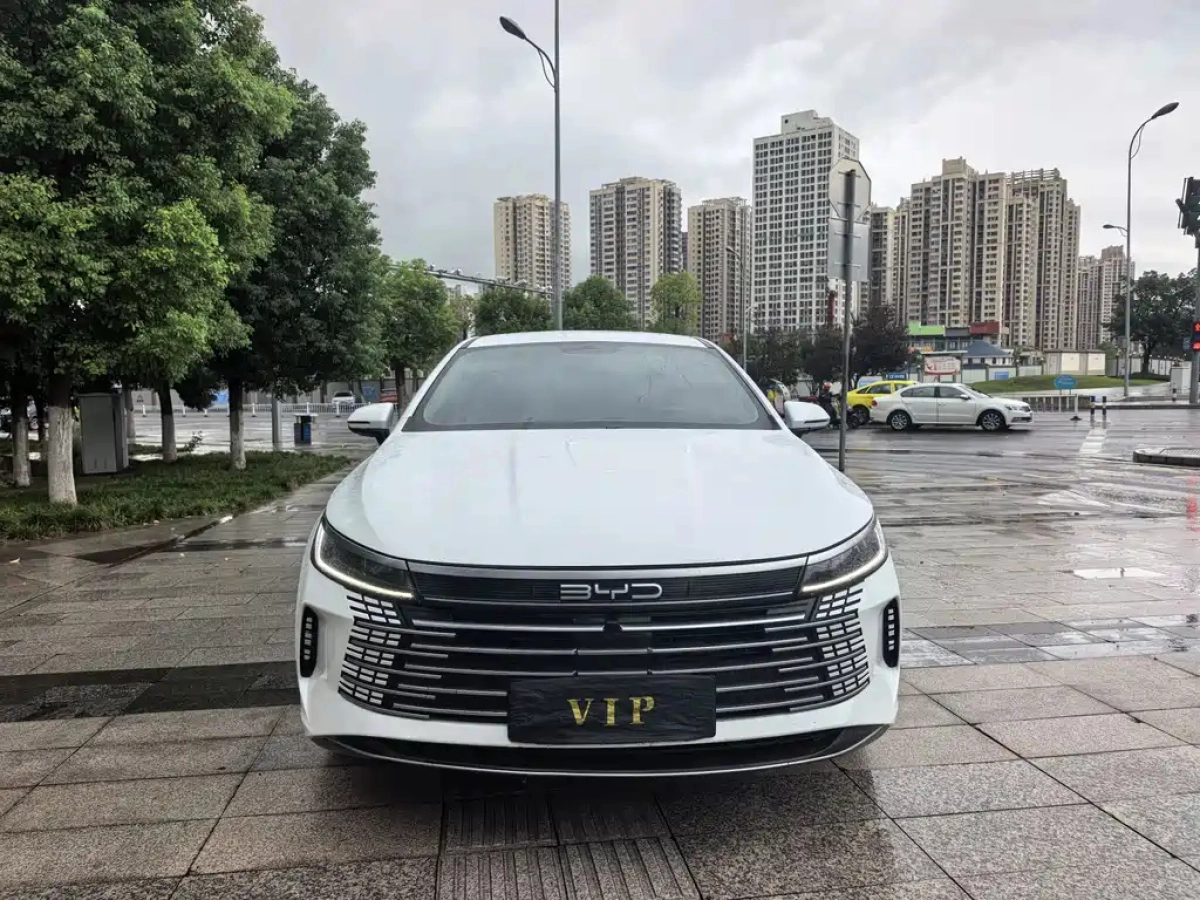 BYD DESTROYER 05