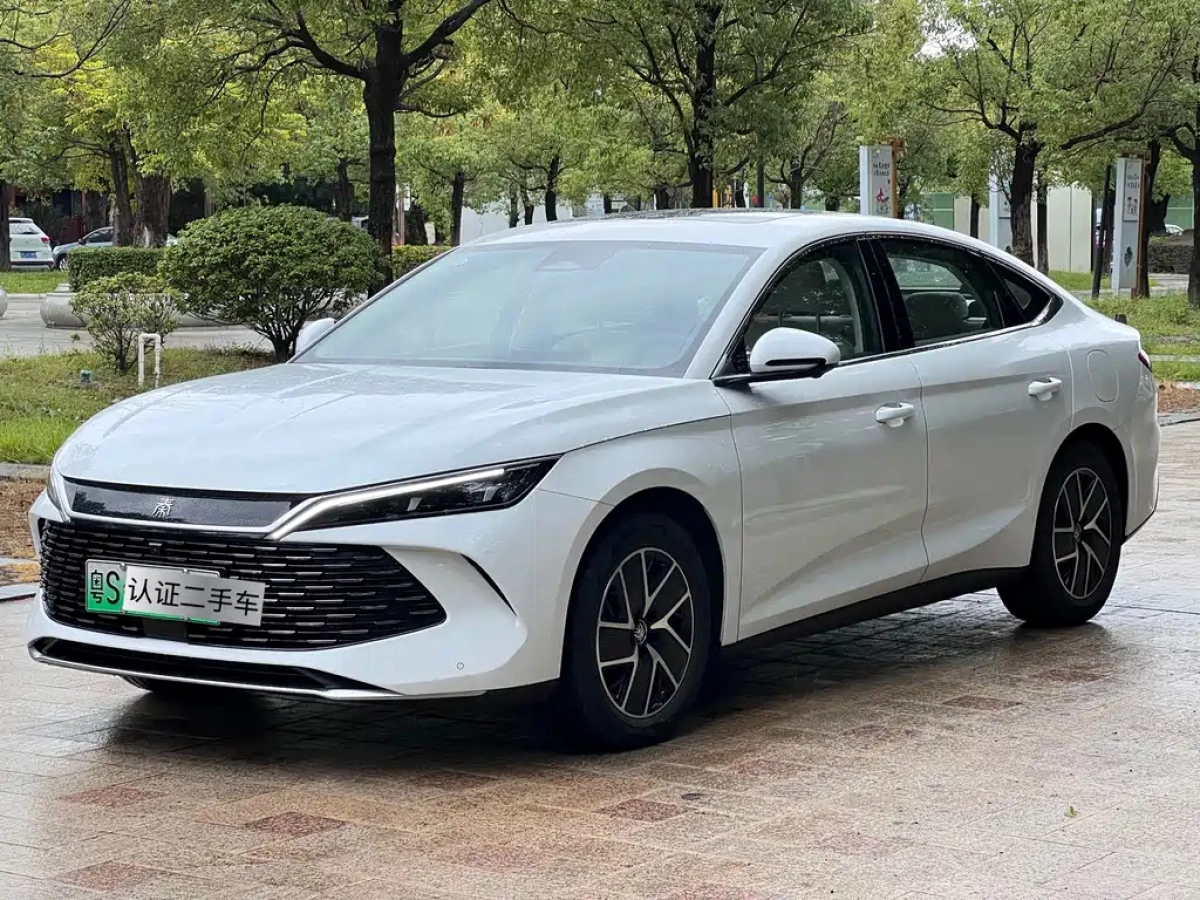 BYD QIN L  2025