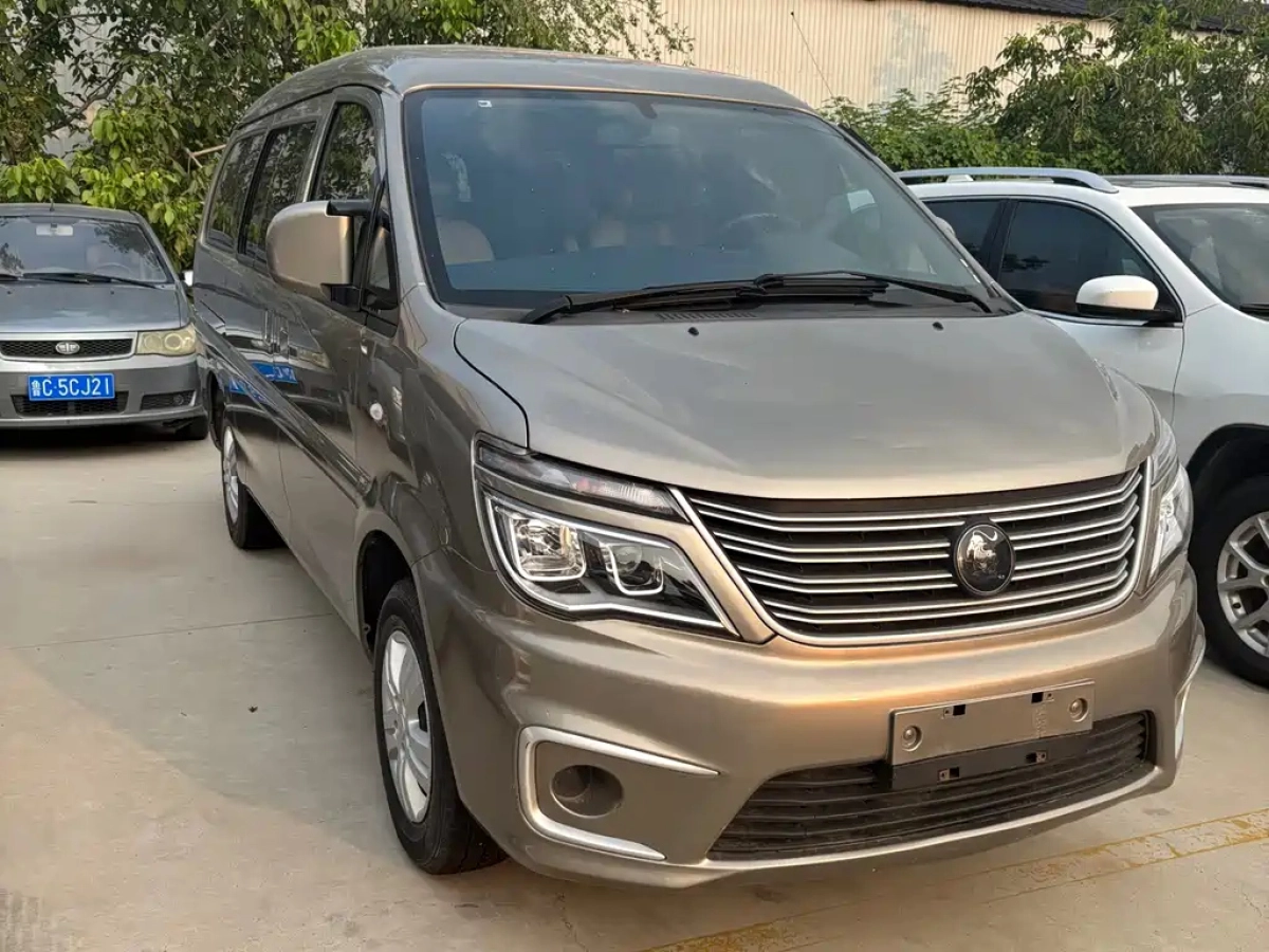 DONGFENG LINGZHI