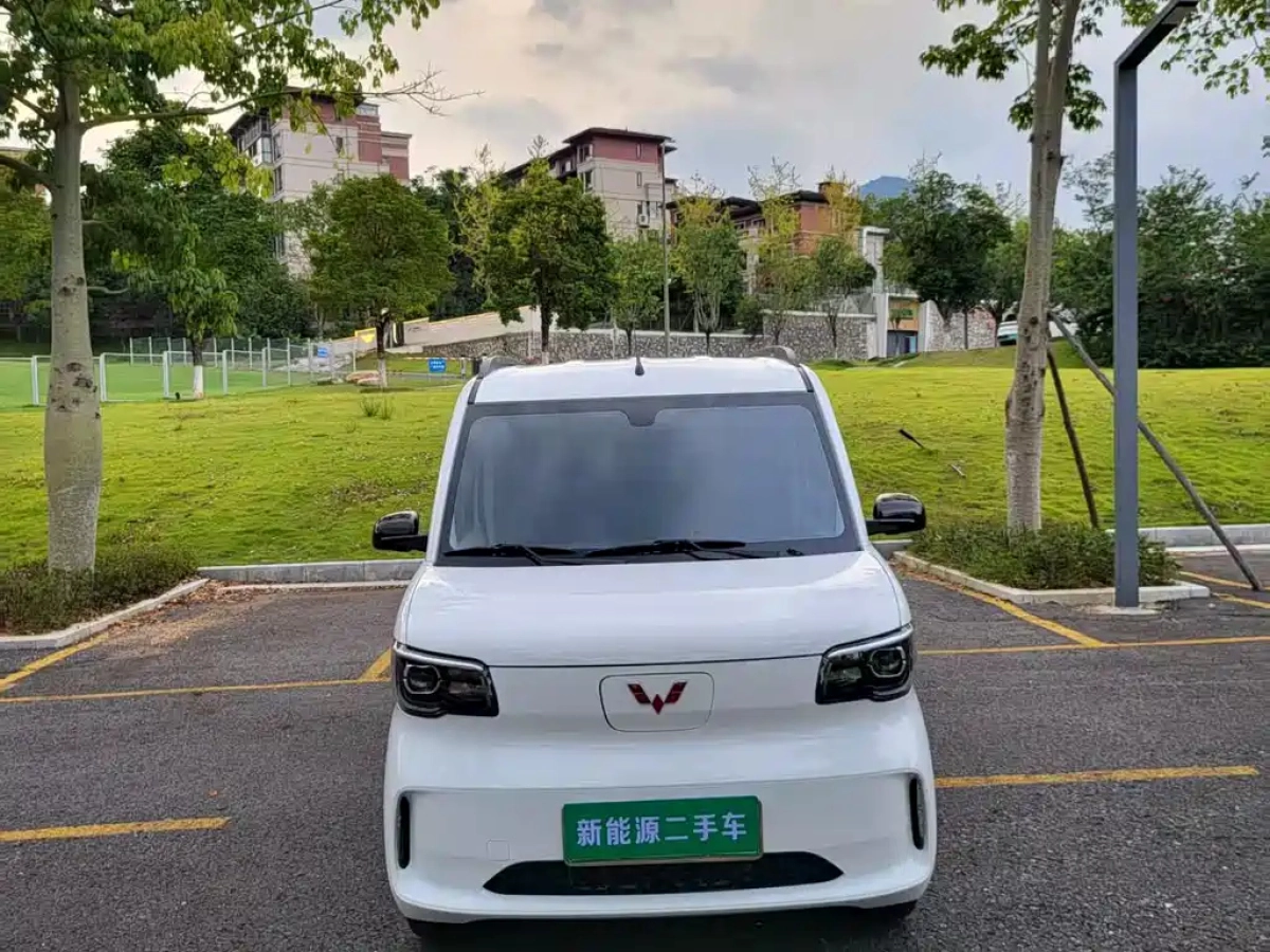 SGMW WULING LIGHT NEW ENERGY