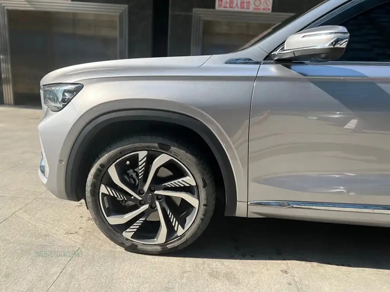 GEELY AUTO MONJARO