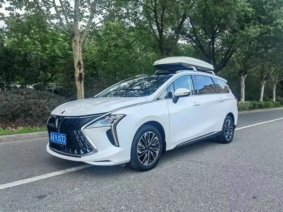 DONGFENG FORTHING 游艇