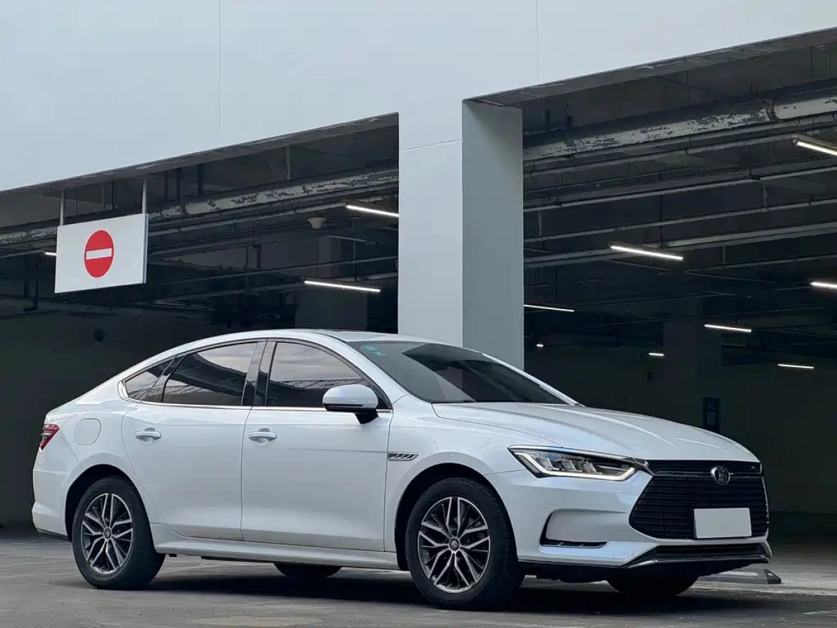 BYD QIN PRO NEW ENERGY