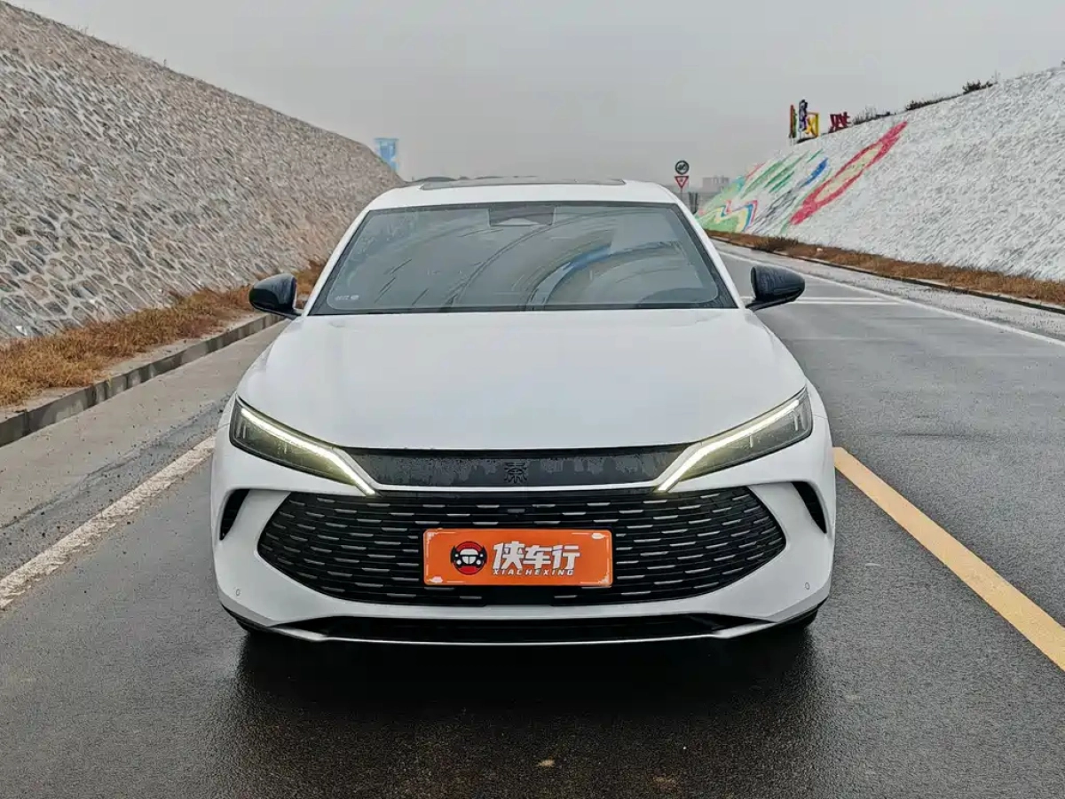 BYD QIN L
