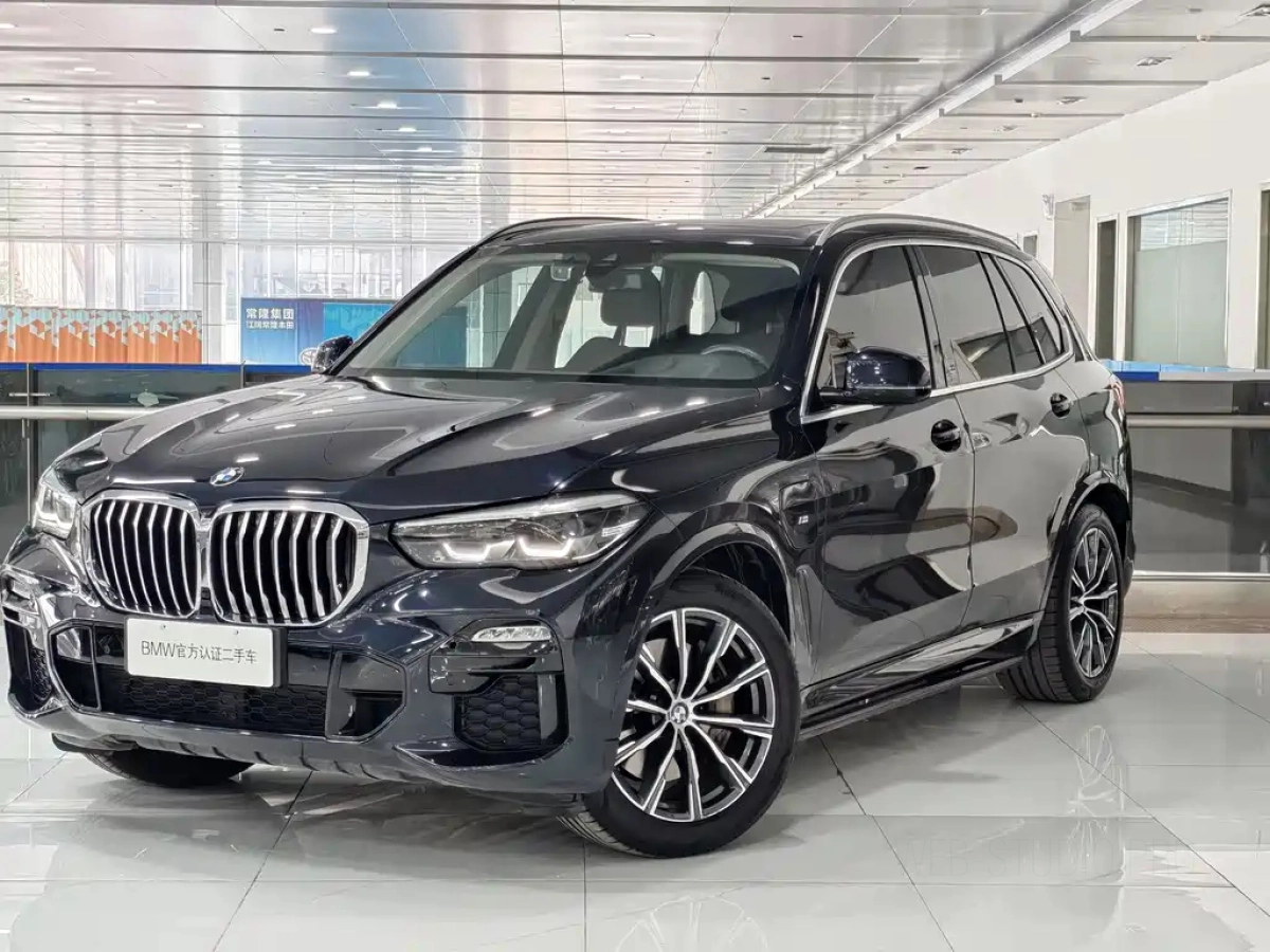 BMW X5 NEW ENERGY IMPORT