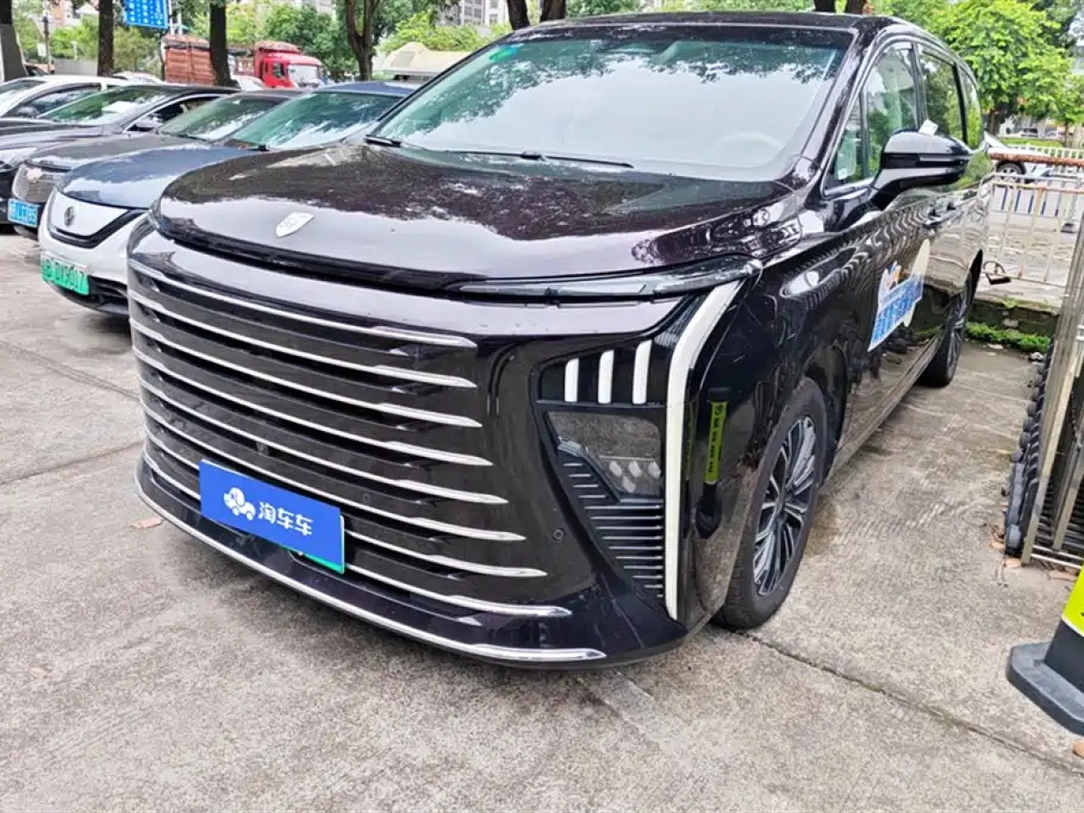 DONGFENG XINGHAI V9  2024