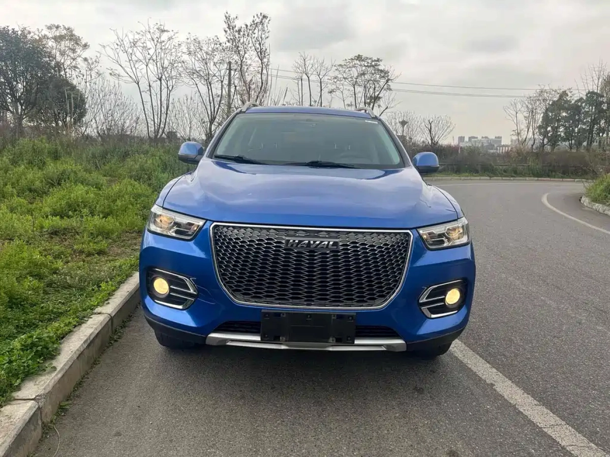 HAVAL H2S
