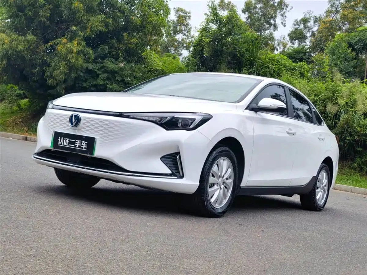 CHANGAN EADO NEW ENERGY  2024