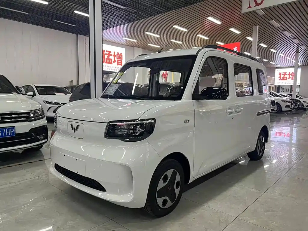 SGMW WULING LIGHT NEW ENERGY