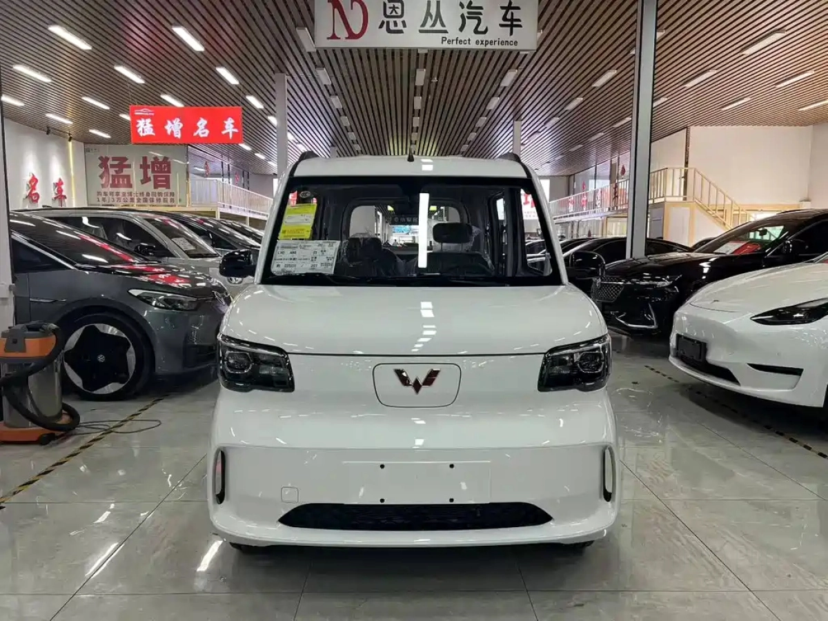 SGMW WULING LIGHT NEW ENERGY