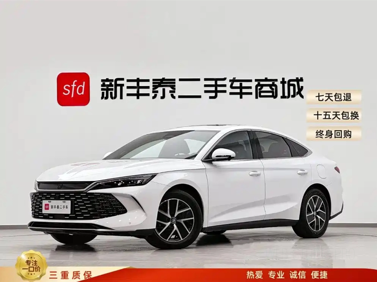 BYD QIN L  2025
