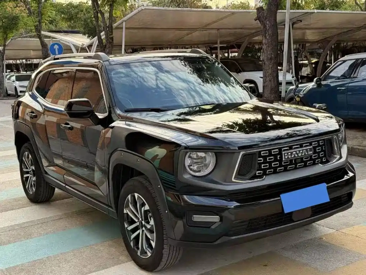 HAVAL BIG DOG II