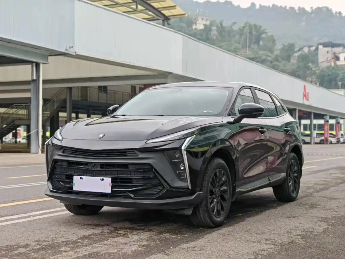 DONGFENG FORTHING T5 EVO  2024