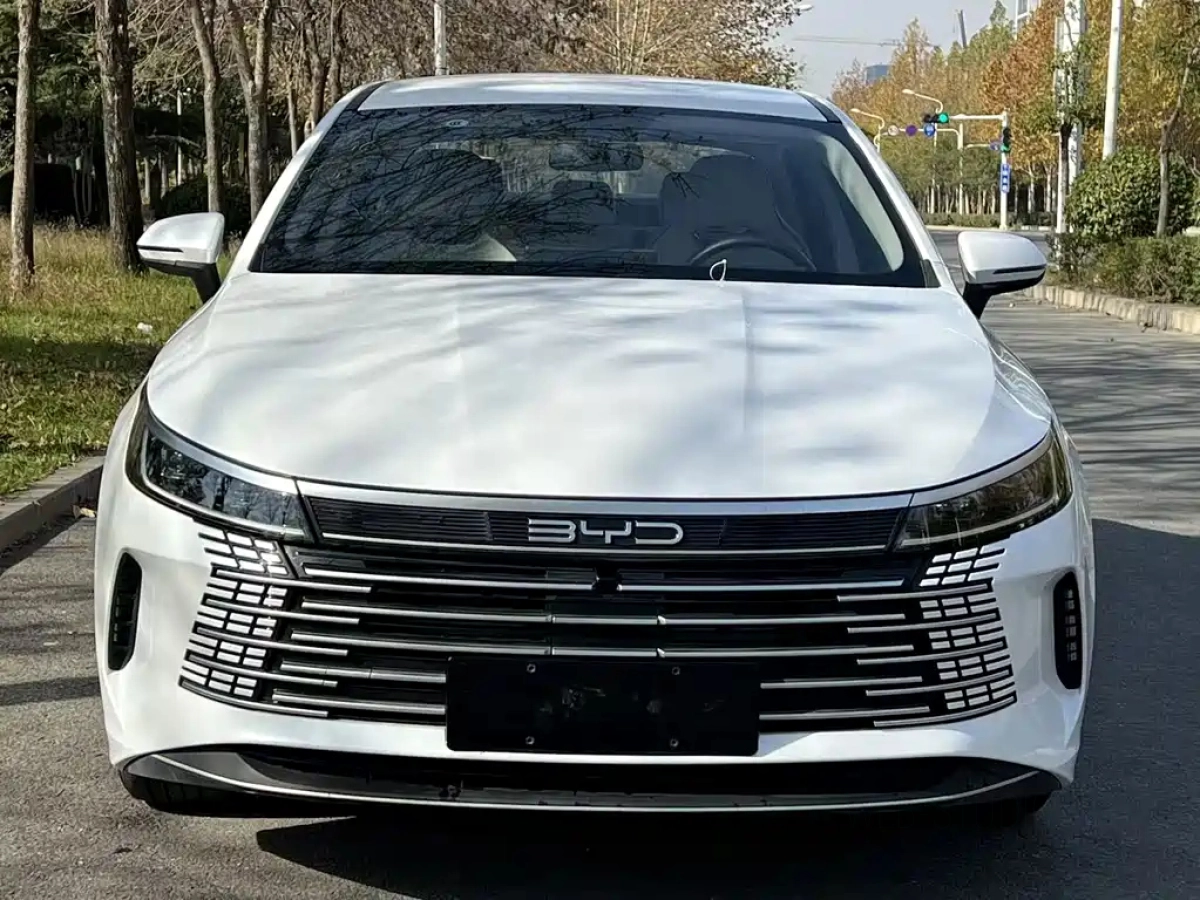 BYD DESTROYER 05
