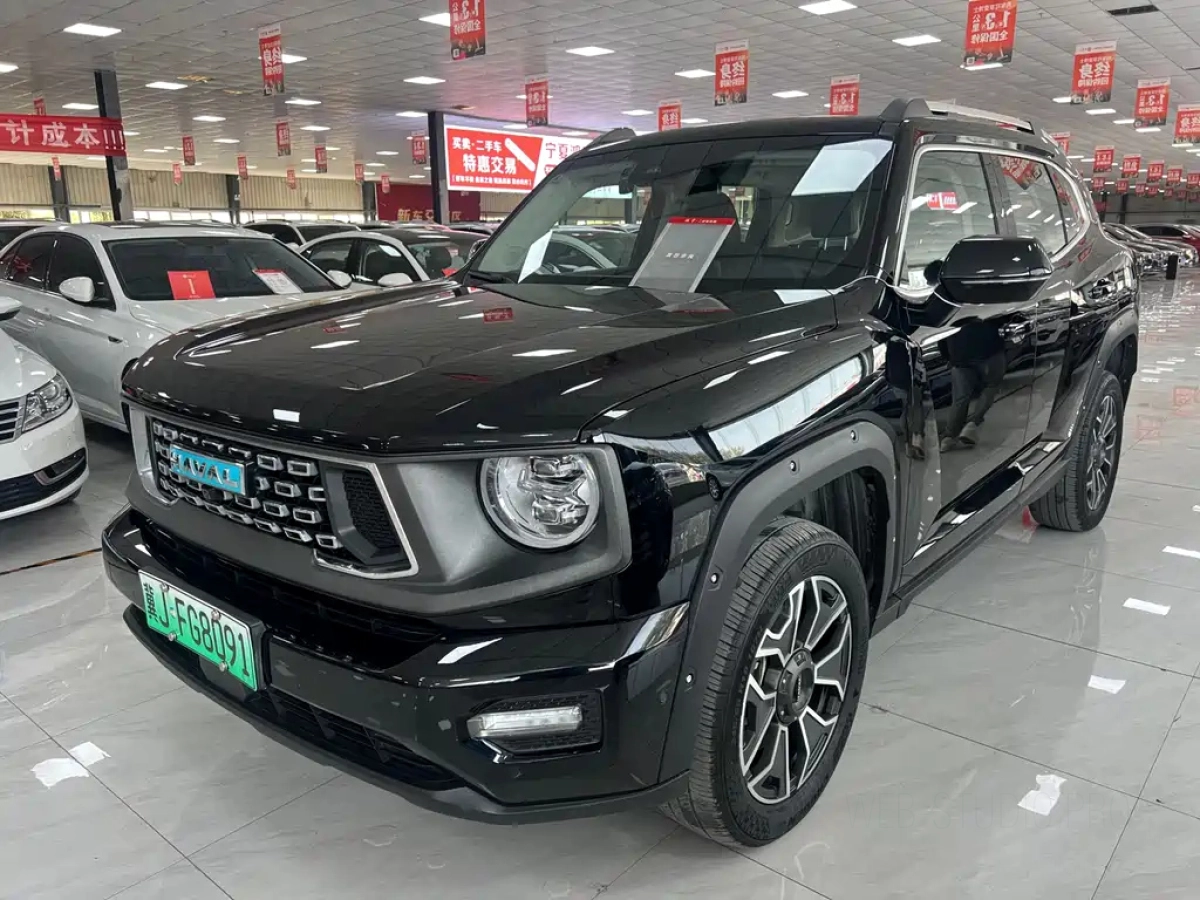 HAVAL 2 GEN. DARGO NEW ENERGY  2024
