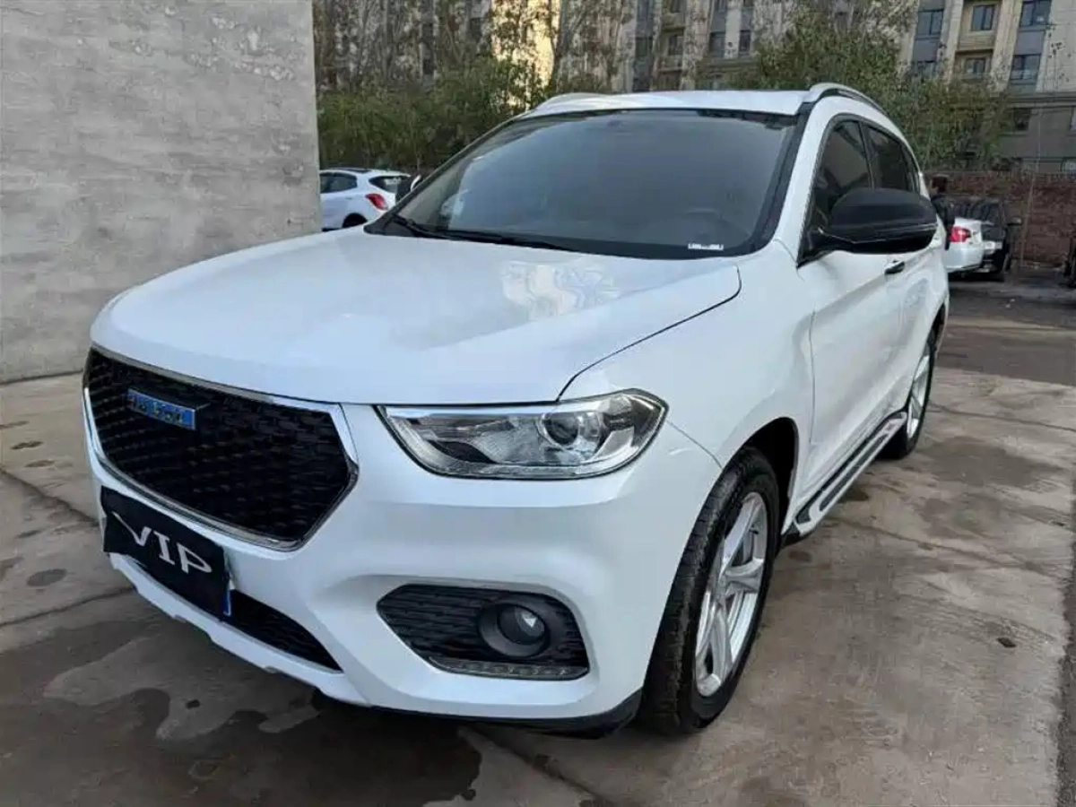 HAVAL H2  2019