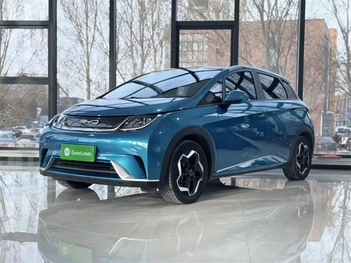 BYD DOLPHIN