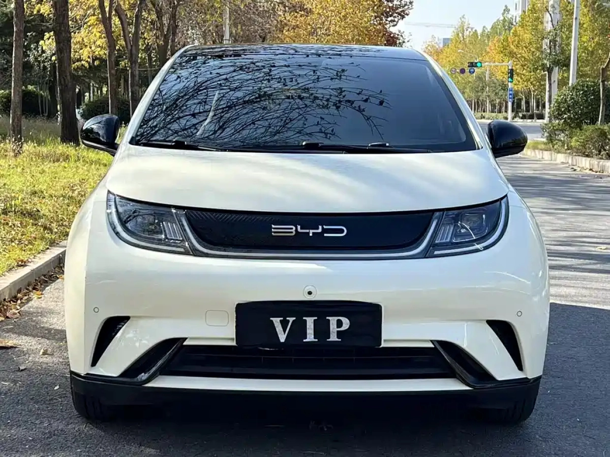BYD DOLPHIN