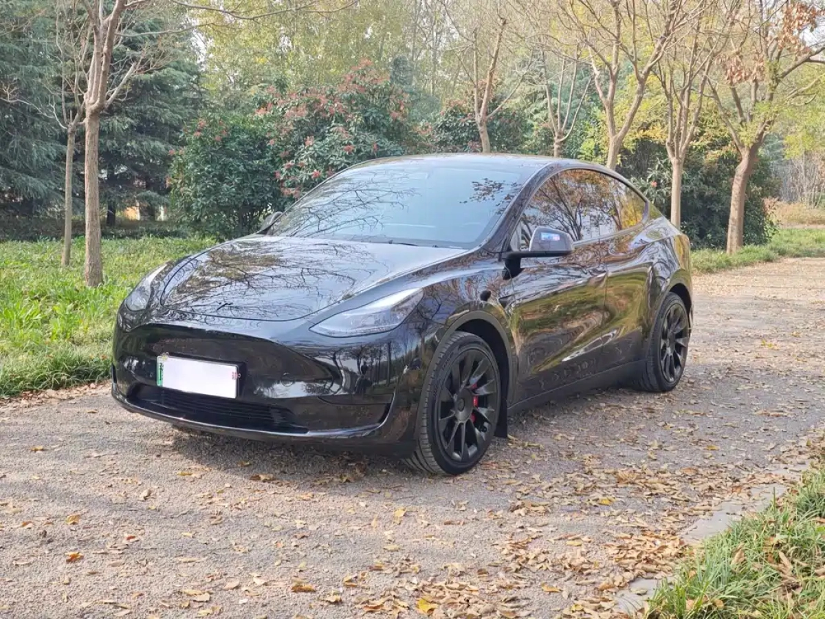 TESLA MODEL Y