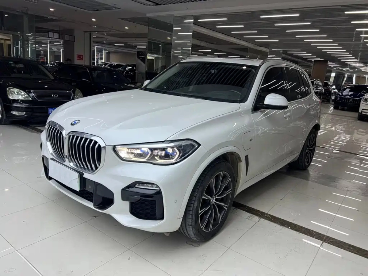 BMW X5 NEW ENERGY IMPORT