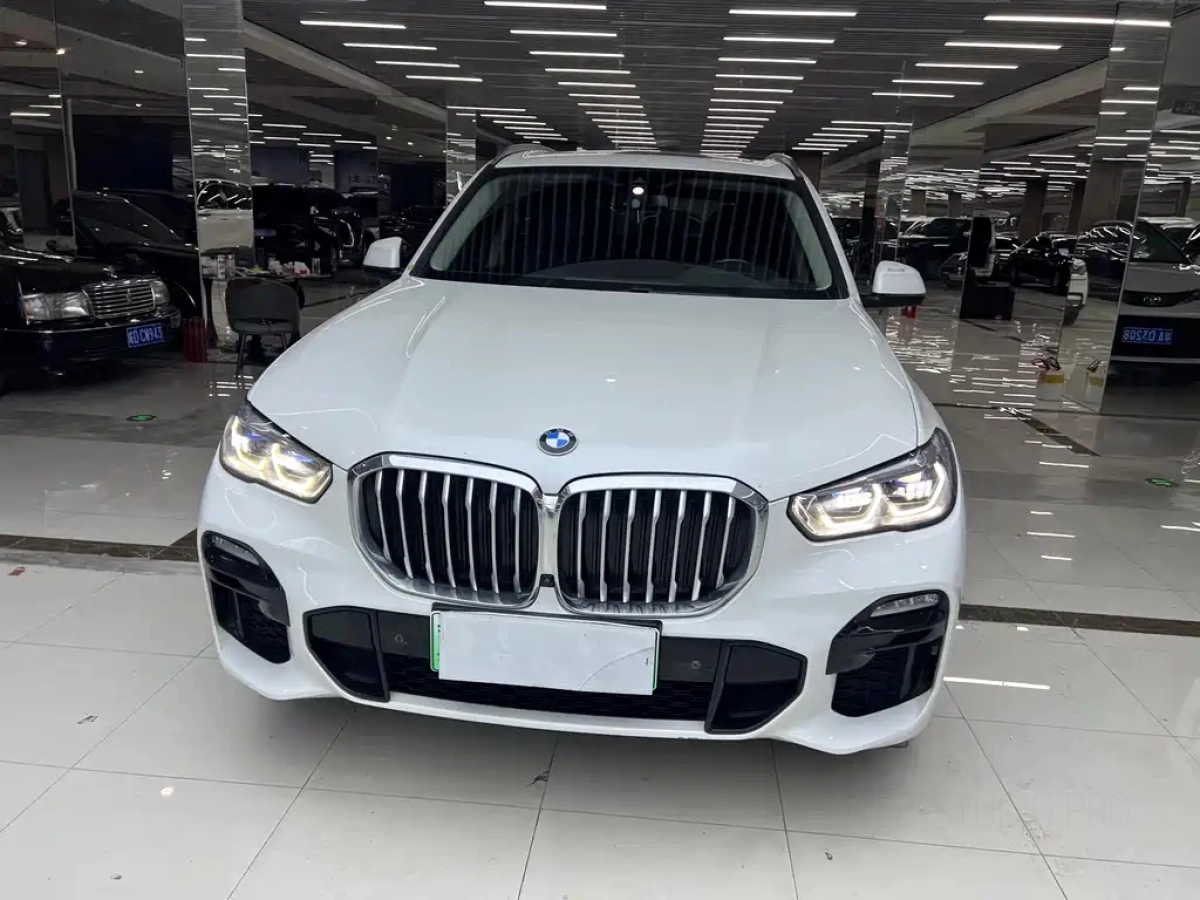 BMW X5 NEW ENERGY IMPORT