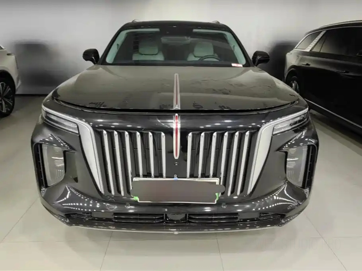 HONGQI E-HS9