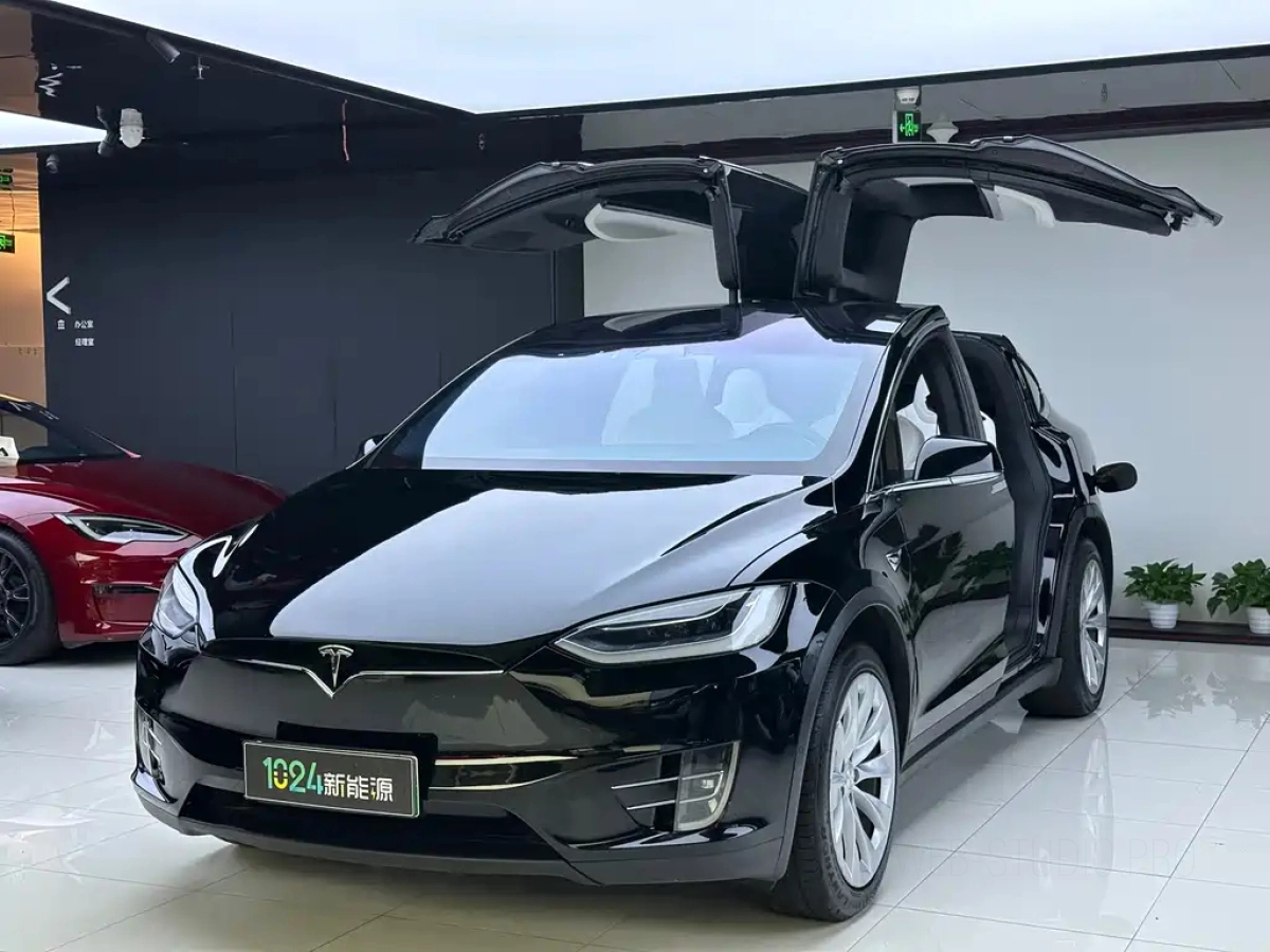 TESLA MODEL X  2019