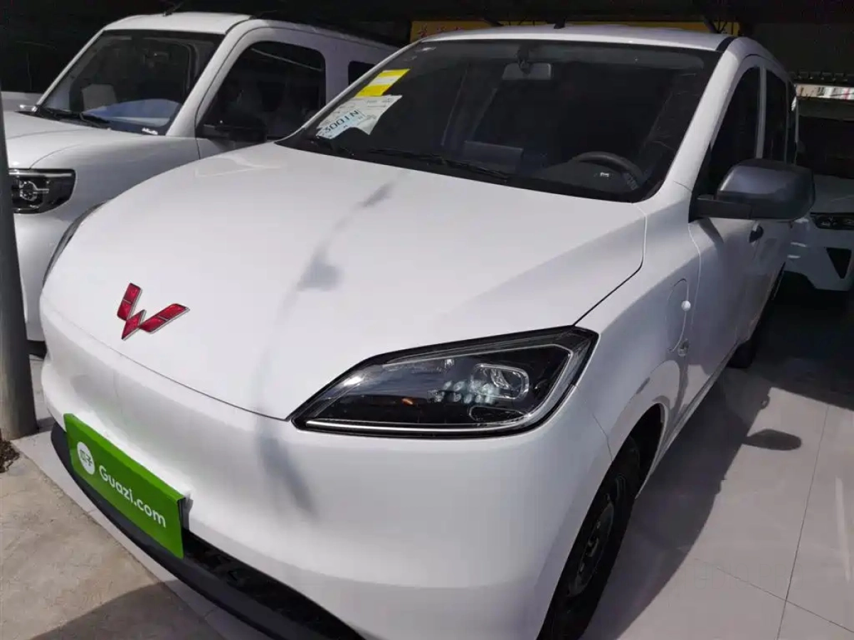 SGMW WULING HONGGUANG NEW ENERGY