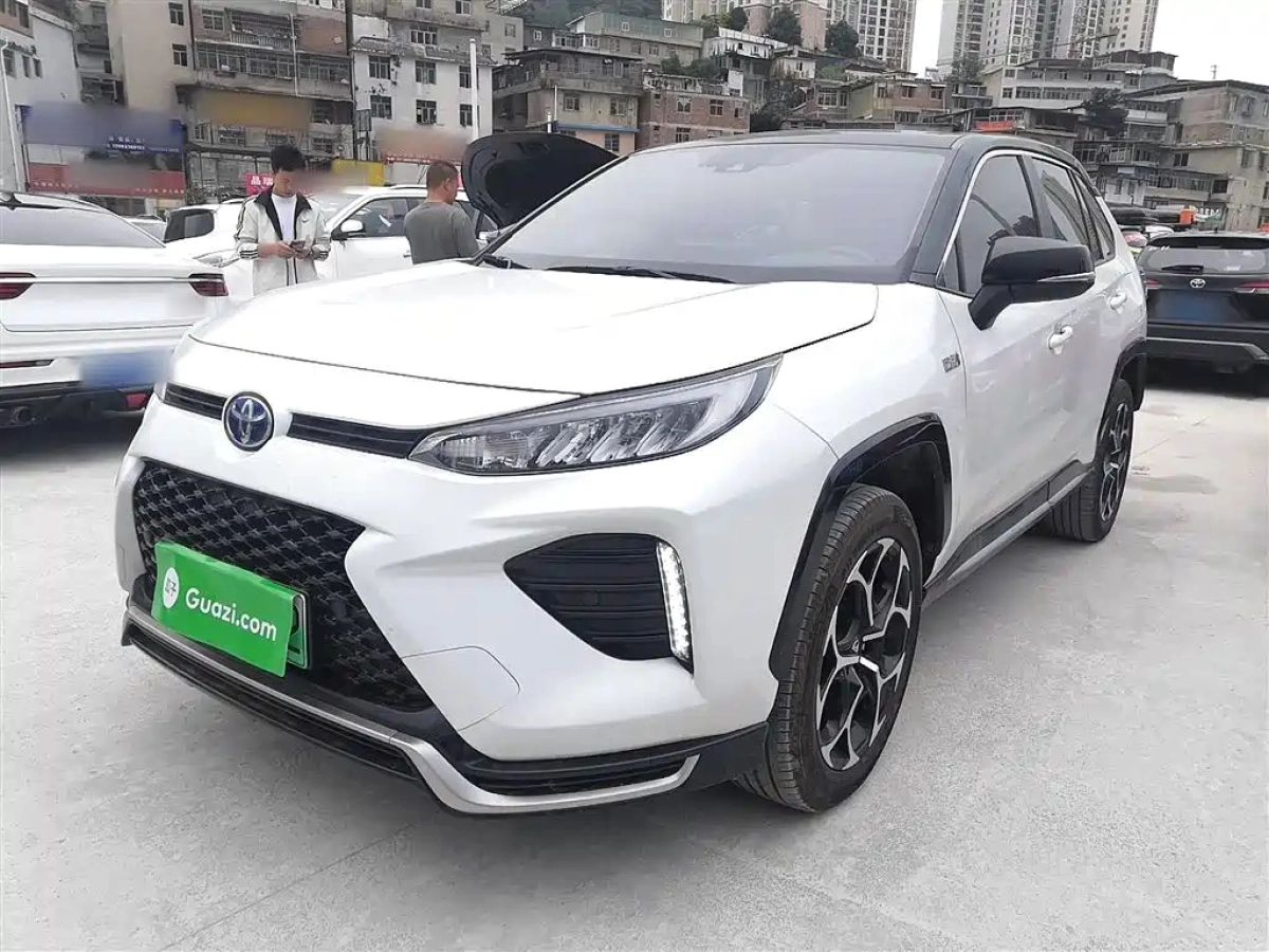 TOYOTA WILDLANDER NEW ENERGY  2021