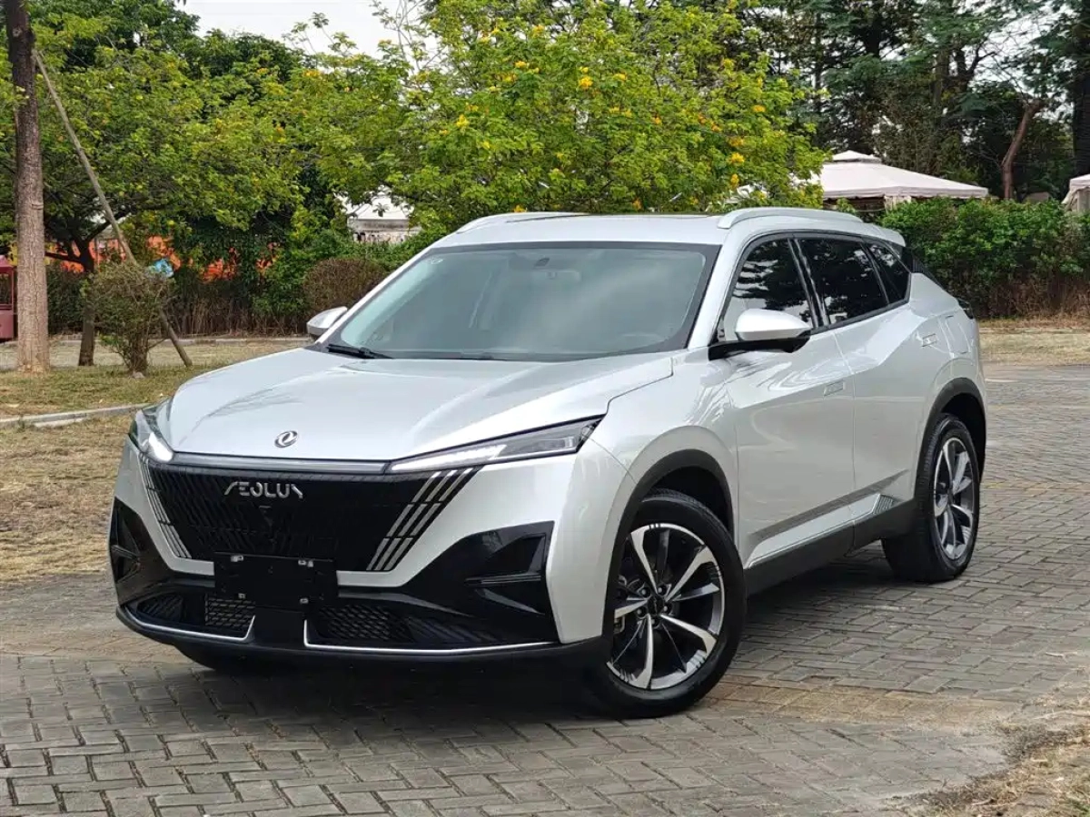 DONGFENG HAOHAN  2023