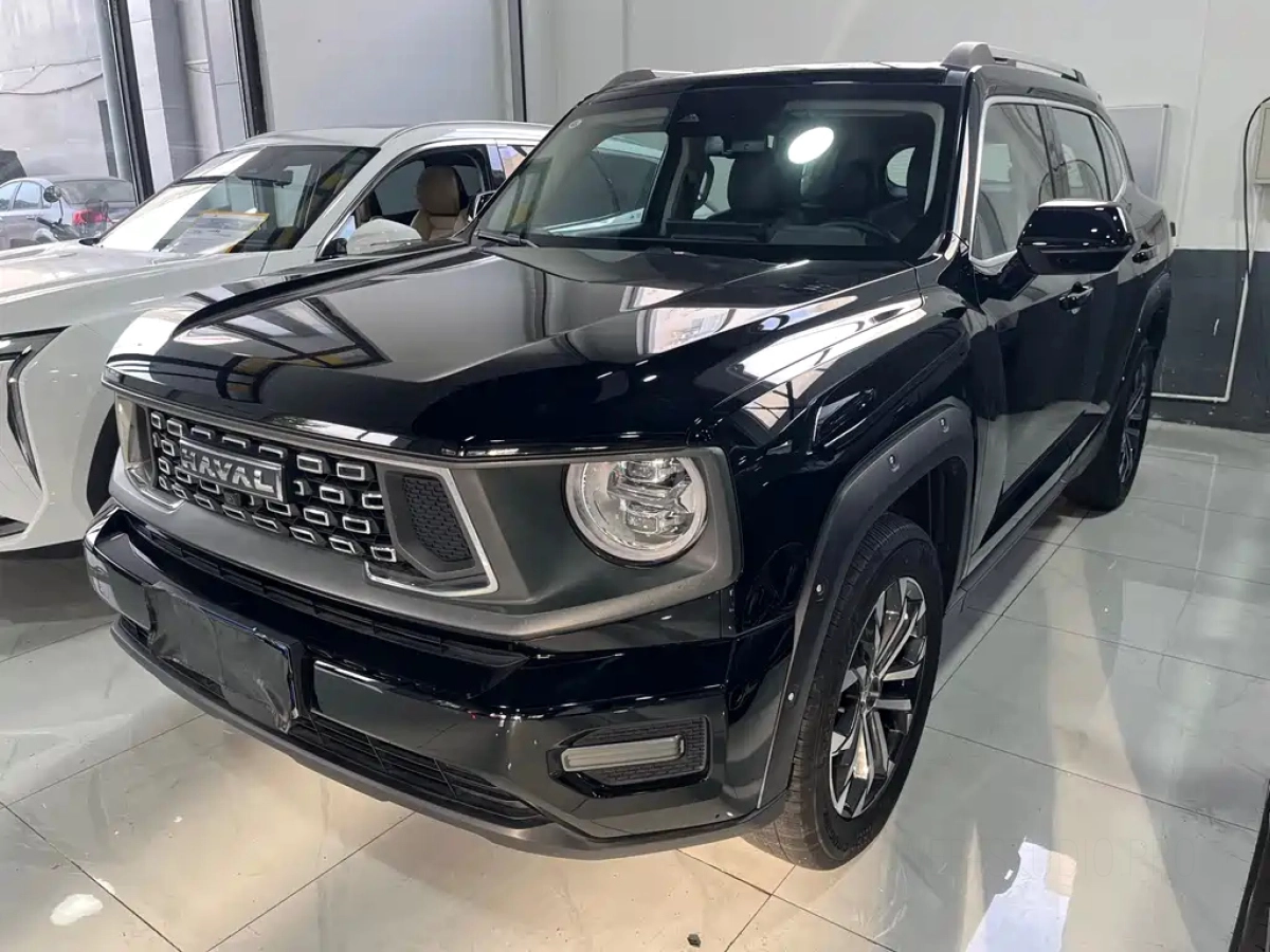 HAVAL BIG DOG II
