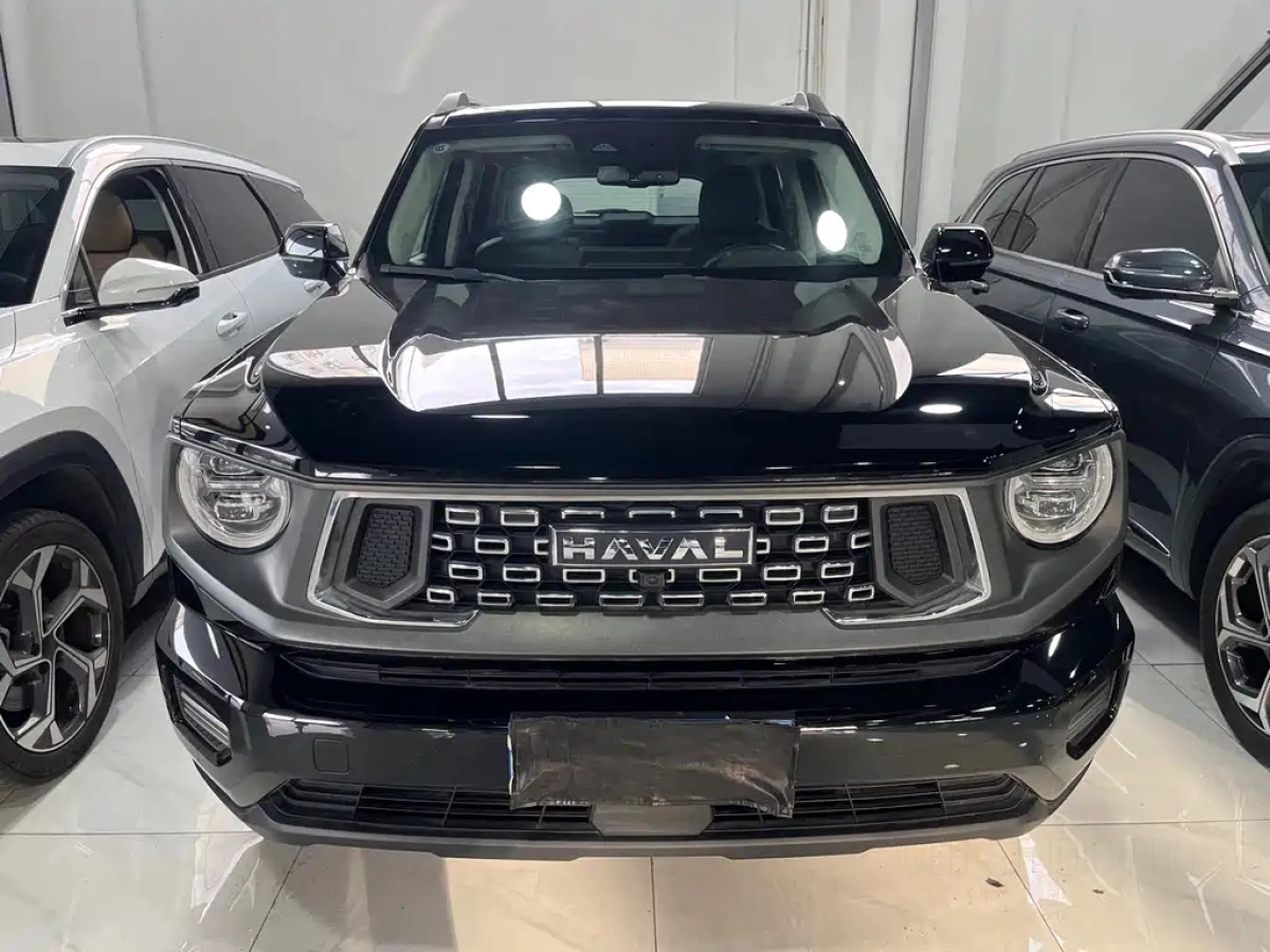 HAVAL BIG DOG II