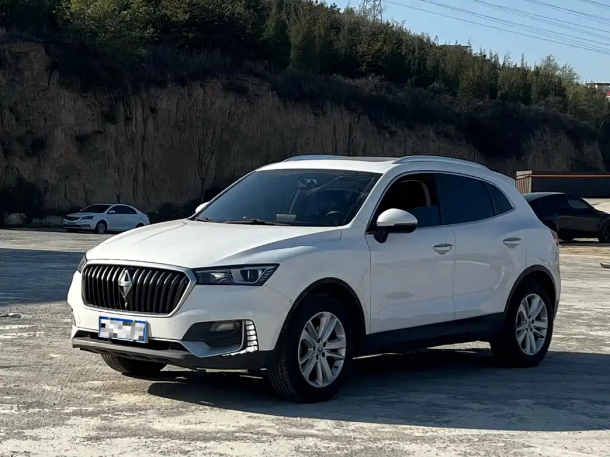 BORGWARD BX5  2019
