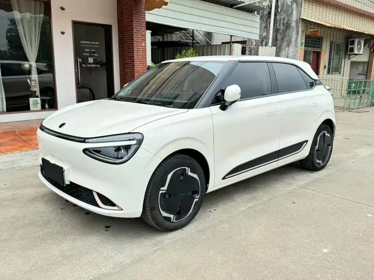 DONGFENG NANO 01  2025