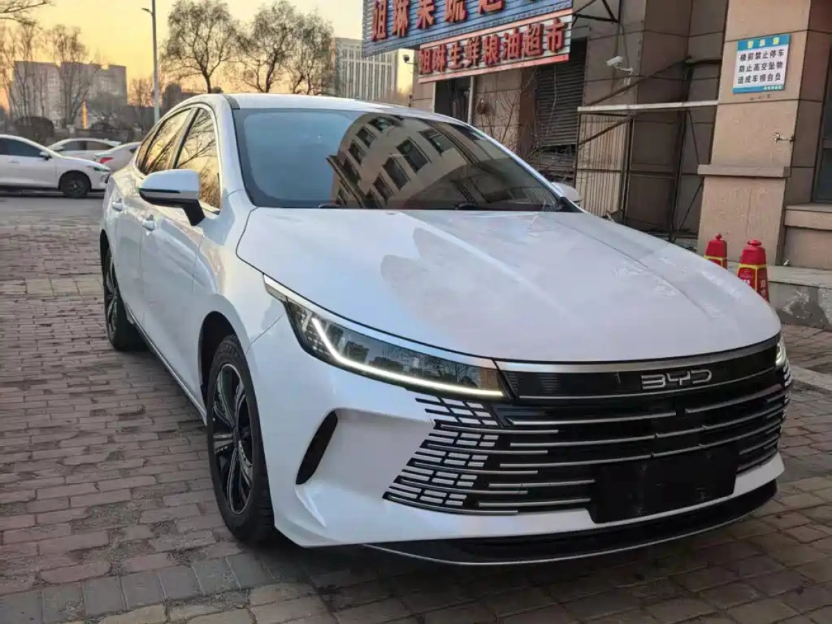 BYD DESTROYER 05