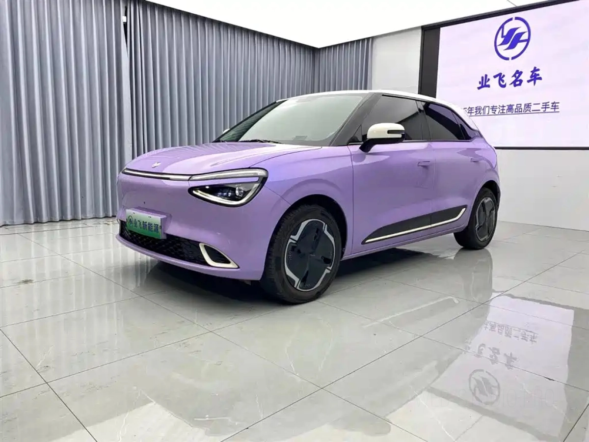 DONGFENG NANO 01  2024