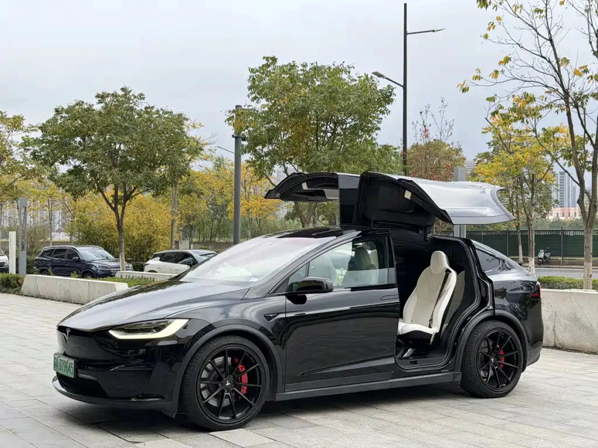 TESLA MODEL X