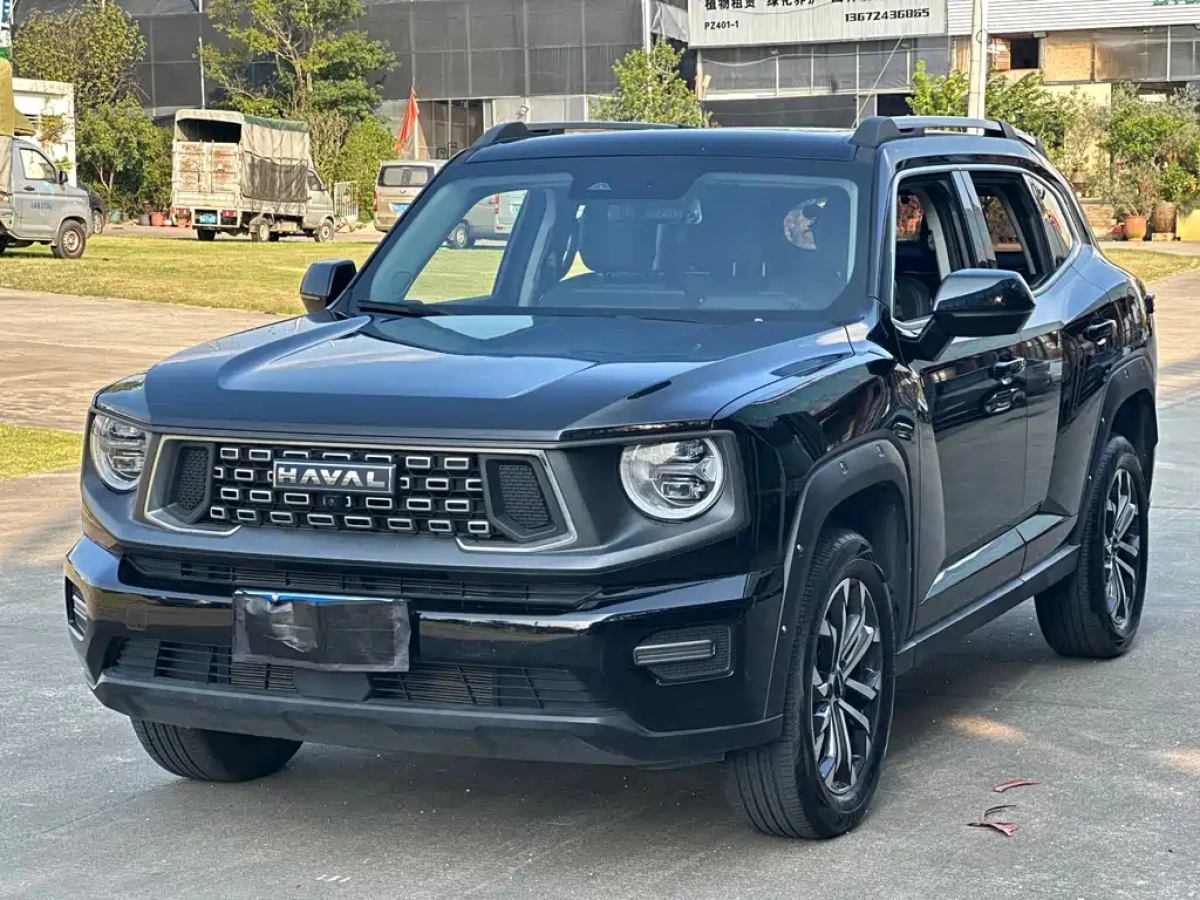 HAVAL BIG DOG