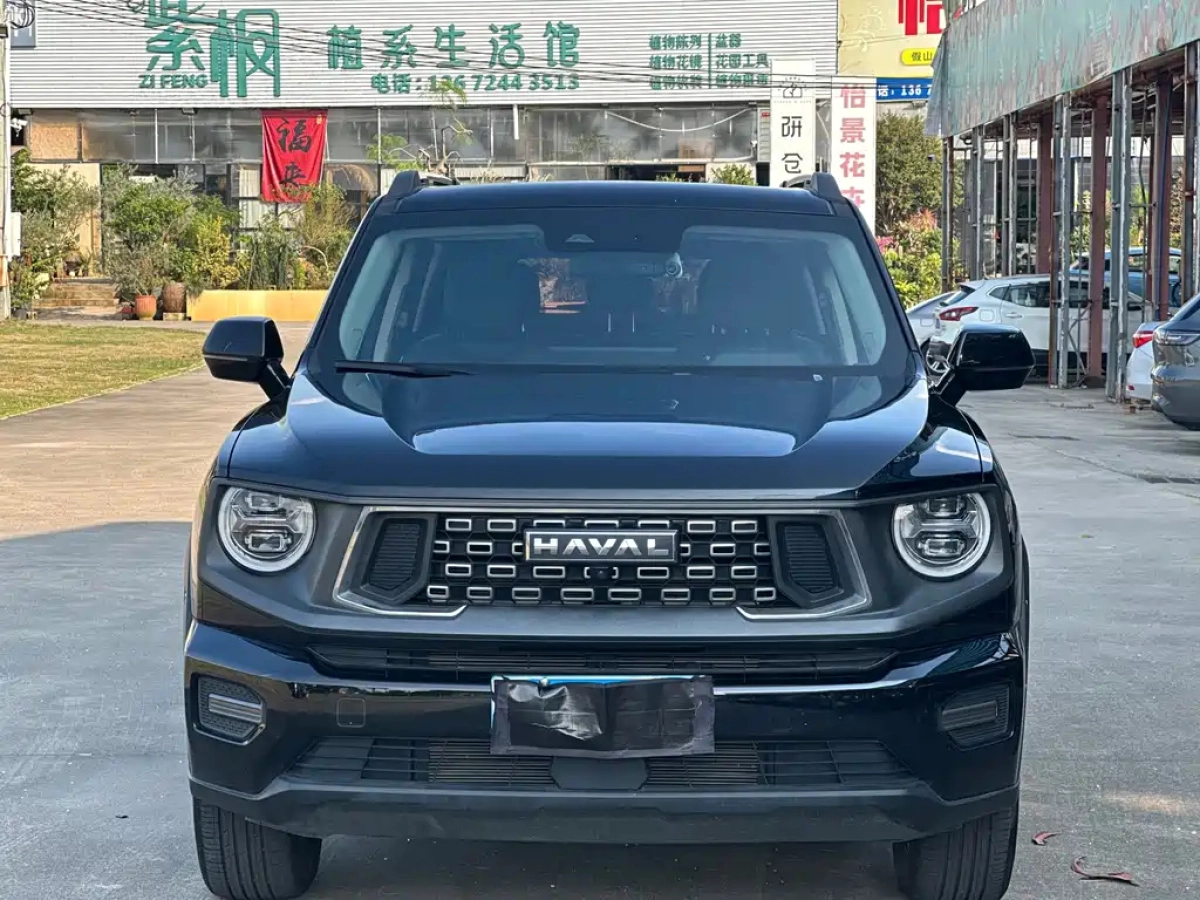 HAVAL BIG DOG
